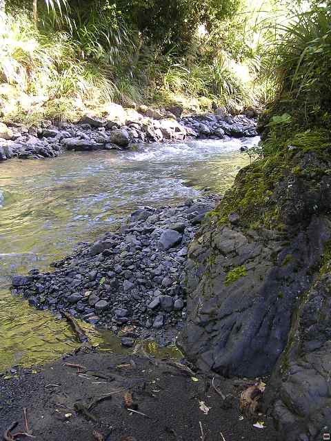 NZ leden-unor 2006 233.jpg